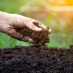 How Do I Improve Heavy Clay Soil in the Garden?