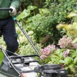 Things to Consider for a Successful Garden
