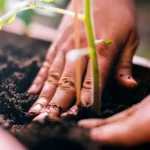 11 Steps for Preparing Your Garden
